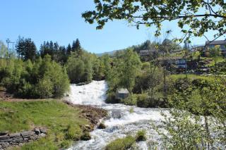 Hardanger Rom & Harmonium "The Green B&B" - 3