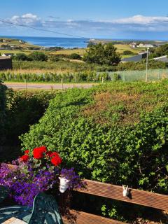 Galley View Ardfield Clonakilty - 3