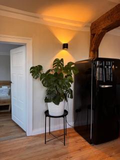 Das Löwenhaus - 2