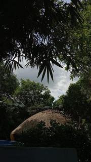 PAUI Eco room - 1