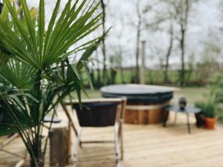 Tiny Cabin met airco en privé hottub - 9