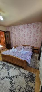 Casa Răzvan - 1