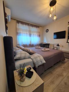 Grey Apartments Zaječar - 7