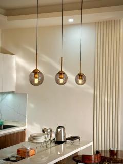 1 bhk at elysium downtown - 1