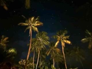 Casa del Mar Diani - 2