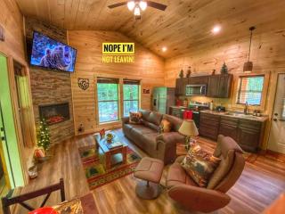 Quiet~peaceful~fast WiFi~f/p~hottub~Dollywood~#10 - 9