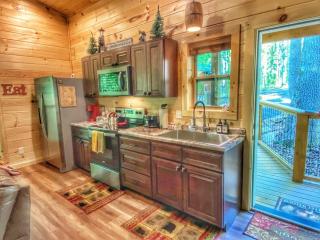 Quiet~peaceful~fast WiFi~f/p~hottub~Dollywood~#10 - 6
