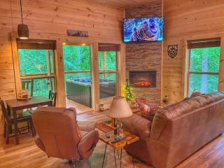 Quiet~peaceful~fast WiFi~f/p~hottub~Dollywood~#10 - 4