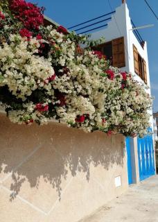 La petite maison dans Tamraght - 3