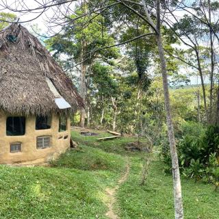 Ecological House in the forest - shared house - 2