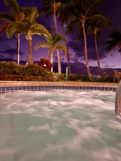 Compass Blue Lahaina - 6
