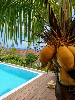 Villa Toc Toc à Bouillante, Guadeloupe - 0