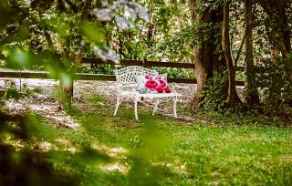 Splendido Appartamento A St Altro - 8