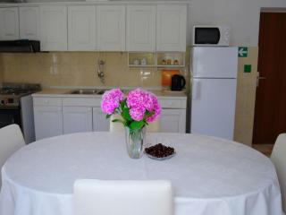 Apartments Darija Supetar - Two Bedroom Apartment with Terrace - 7