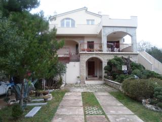 Apartments Davor - Jadrtovac - 0
