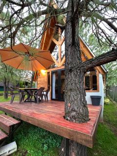 El PINAR CAMPESTRE - 1