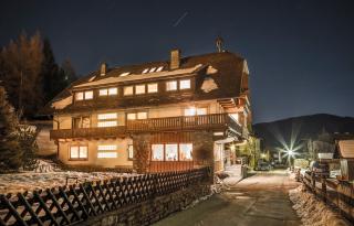 schaus Lüftenegger - Apart-Zirbenpension - 9