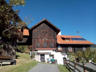 BMC Cabin in Old Mountain Farmhouse 1110m - 1