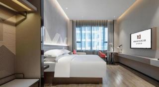 Borrman Hotel Fangchenggang Shangsi Zhonghua Road - 9