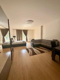 Victoria Apartment - Prague - 7