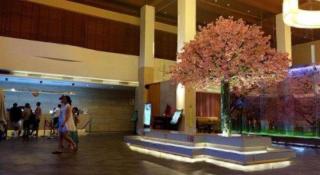 Galaxy Bay Resort - 7