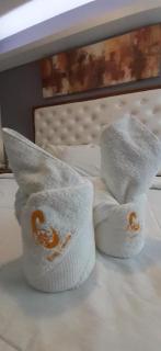 Hotel Camila 2 - Dipólog - 4