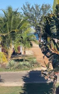 Los Mangoes - 1