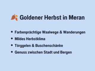 Goldener Herbst in Meran - Zeitreise - 4 Schlafzimmer für Familien Freunde & 3 Generationen - 200 m2 - Große Sonnenterrasse - Restaurants Cafés & Altstadt bequem zu Fuß - 2 Parkplätze - Südtirol Guest Pass inklusive - 9