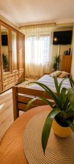 Apartament Okrzei - 6