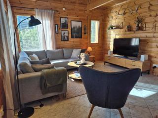 Ilvesrinne - Cosy Fell-Side Cottage in Iso-Syöte - 9