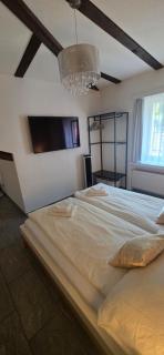 Hotel Surselva - 7