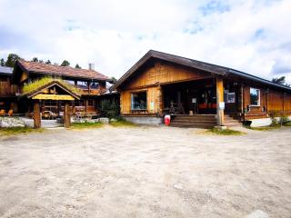 Mountain Lodge - Friisvegen Måsåplassen - 8