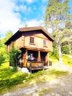 Mountain Lodge - Friisvegen Måsåplassen - 5