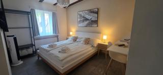 Hotel Surselva - 9