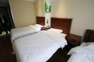 GreenTree Inn Shanghai Luojing Express Hotel - 6