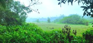 The Nature Leaf Villa - 5
