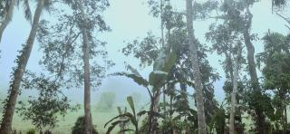 The Nature Leaf Villa - 4