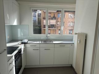 Stylish 2BR with Stunning Zurich Views - Tilia 41 - 8