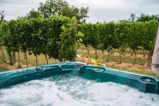 Vikendica Vinogradski Mir, Jacuzzi and Vineyard View - 0