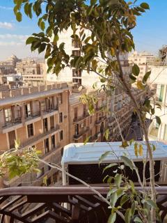 swiss otel cairo - 4