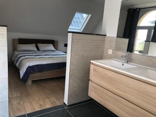 Spacious apartment in an authentic Mansion - 1