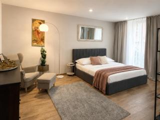 Veleslaveenka - Spacious Apartment in Pilsen Old Town - 9