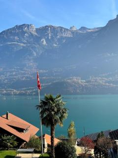 Breathtaking Lake & Mountain View Apartment 1 - 8