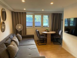 Breathtaking Lake & Mountain View Apartment 1 - 4