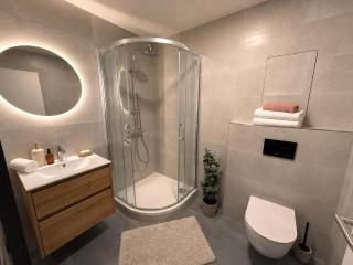 Veleslaveenka - Spacious Apartment in Pilsen Old Town - 7