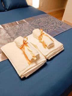 CASAS-K Nishitanabe - 2