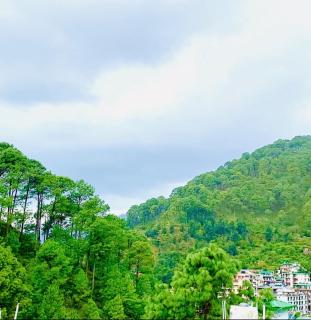 Premium Luxury 2bhk suite Kaichidham,Nainital - 7