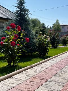 Жемчужина Иссык-Куля - 8