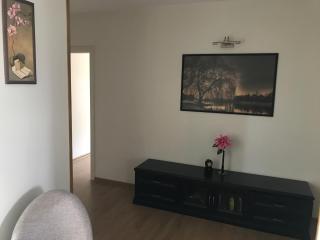 Pilaites svetingi namai - Vilna - 3