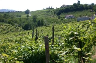 b&b alla pergola - Valdobbiadene - 6